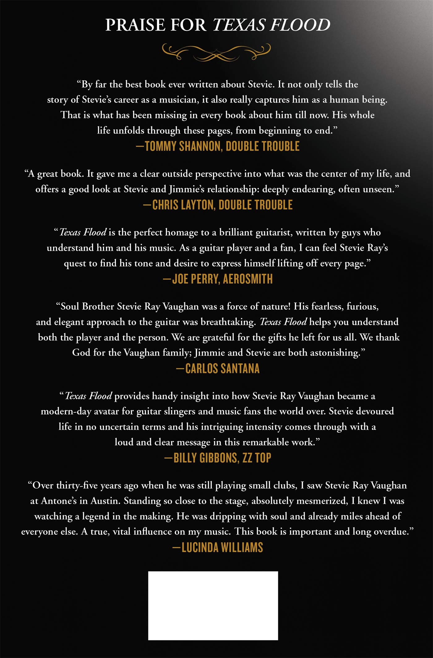 Texas Flood: The Inside Story of Stevie Ray Vaughan
