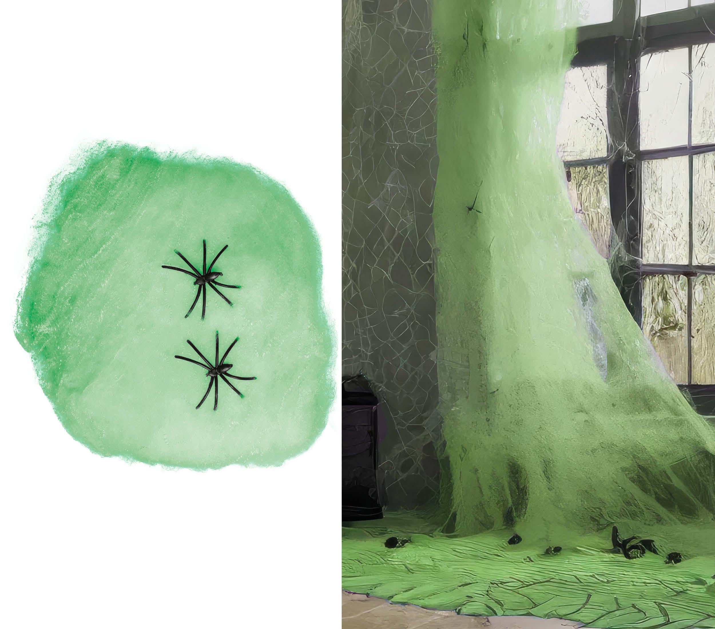 FIESTAS GUIRCA | Green Spider Web (100 g) - Halloween and Fancy Dress Party Decoration - Animals and Insects - Ideal for Celebrations and Events - Green