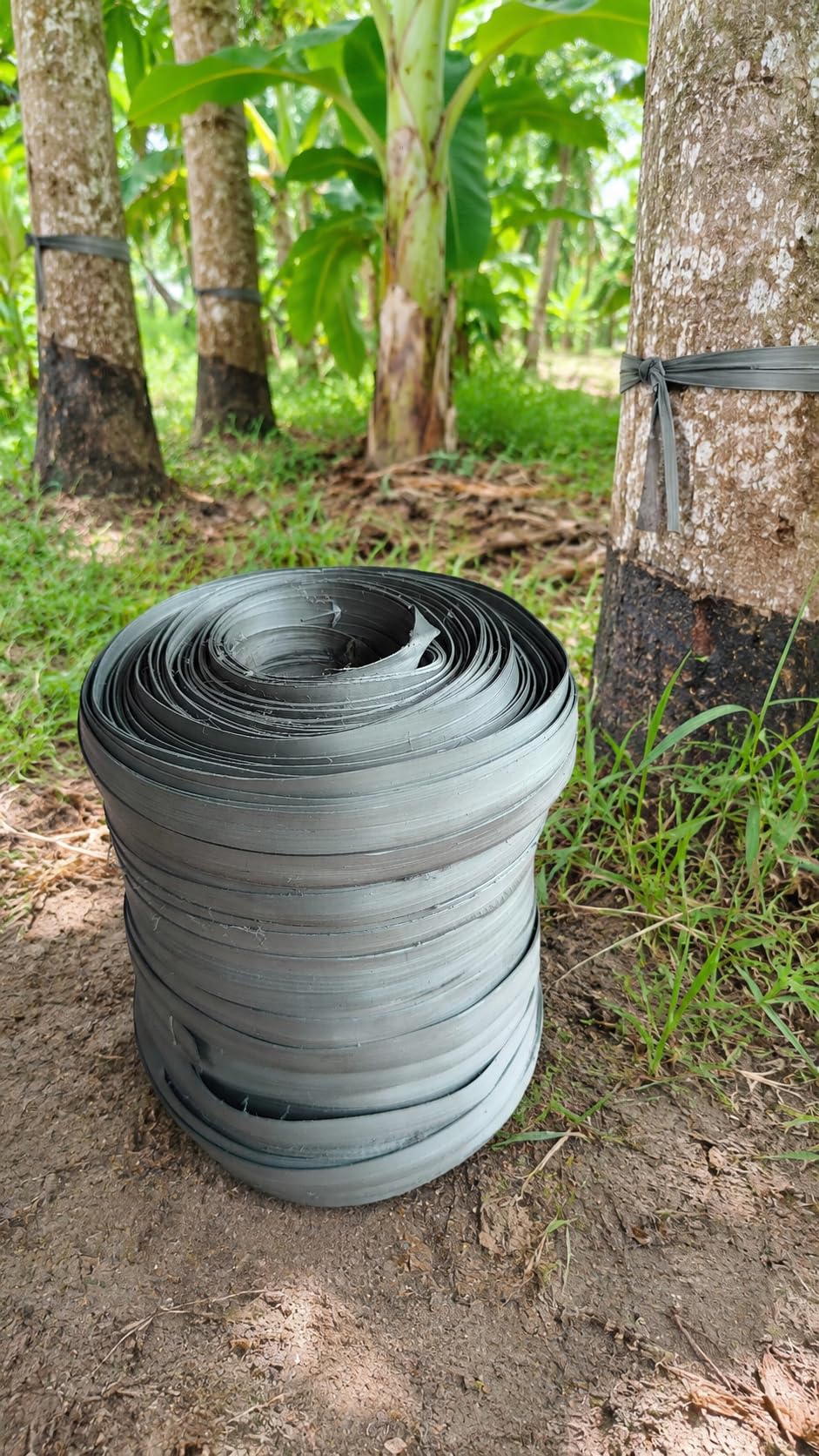 Keravalli Heavy Duty Plastic Agricultural Rope | Strong & Durable Multipurpose Rope for Coconut, Banana & Rubber Tree Tying, Gardening, Farming & Outdoor Use | 1 kg Packet.-image-34