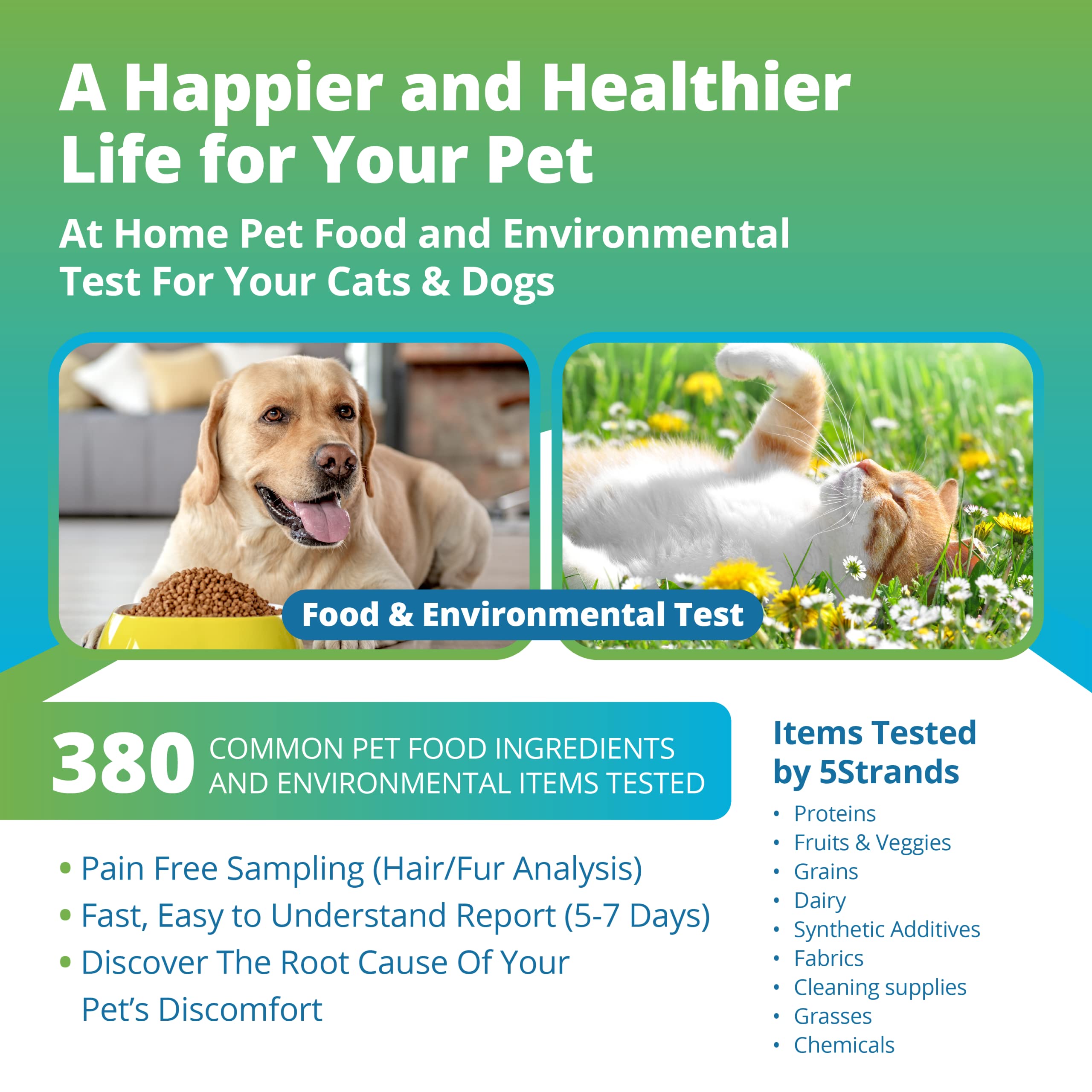 Buy 5Strands Pet Food and Environmental Intolerance Test, at Home Dog