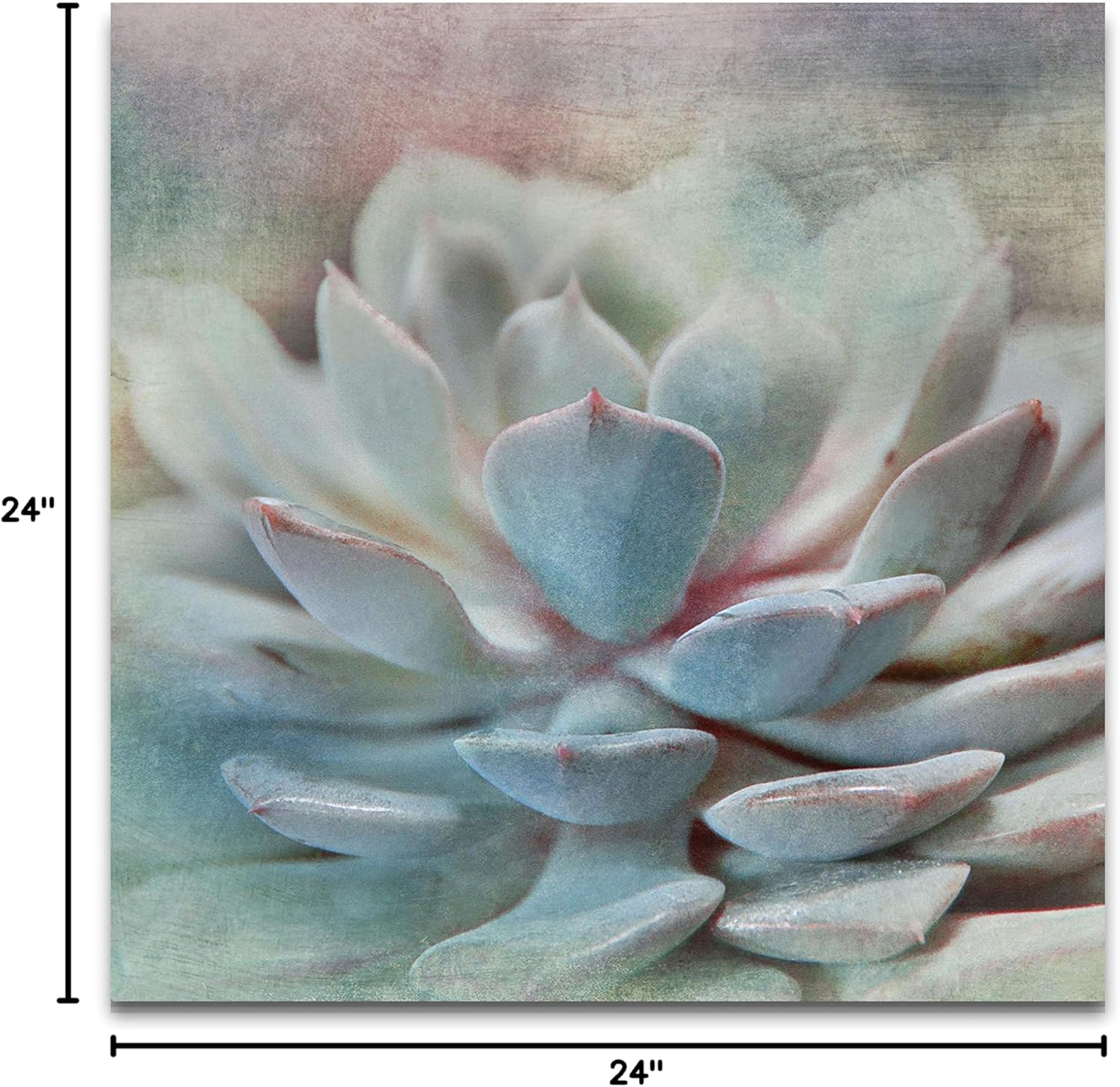 Pastel Succulent I Gallery Wrapped Canvas Wall Art