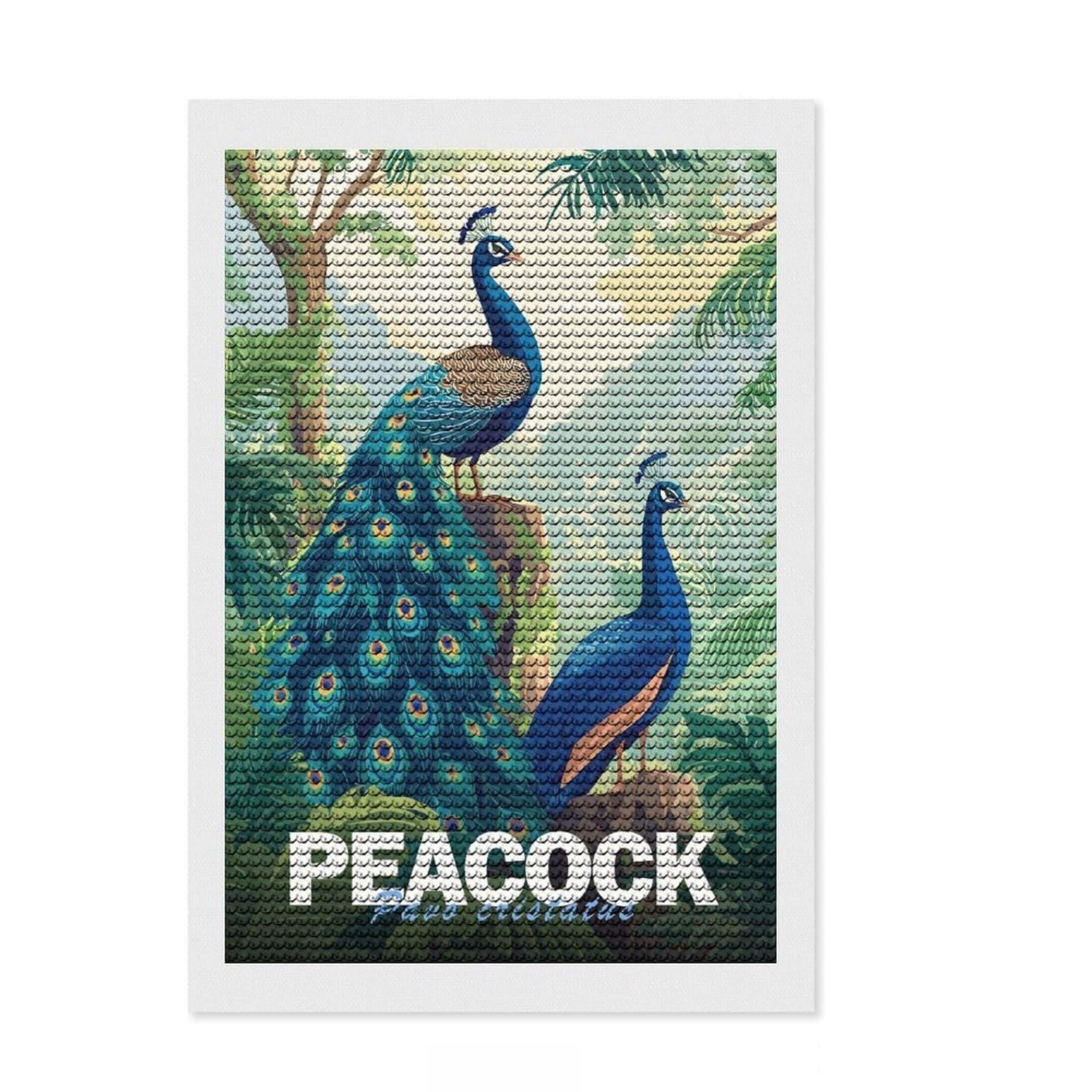 Junmoney Peacock Illustration Diamond Art Canvas 8"x12", Stress Relief Craft, Neat Printed Canvas, Modern Decor, for Family Craft Time