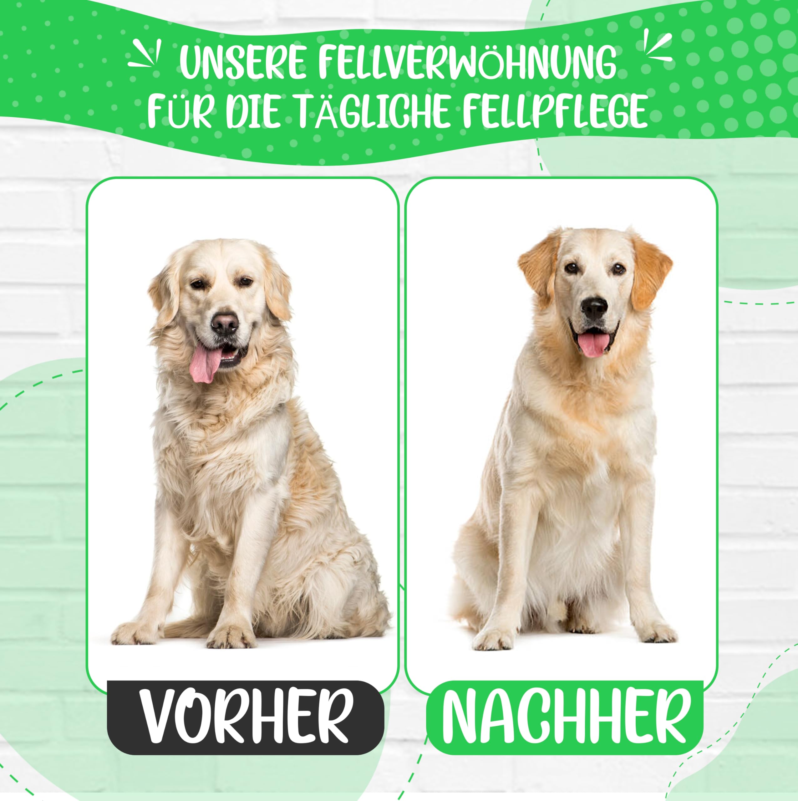 TESTURTEIL - Brosse douce - Version améliorée - Vainqueur comparatif - Toilettage doux pour chiens, chiots, chats, lapins, hamsters, caniches