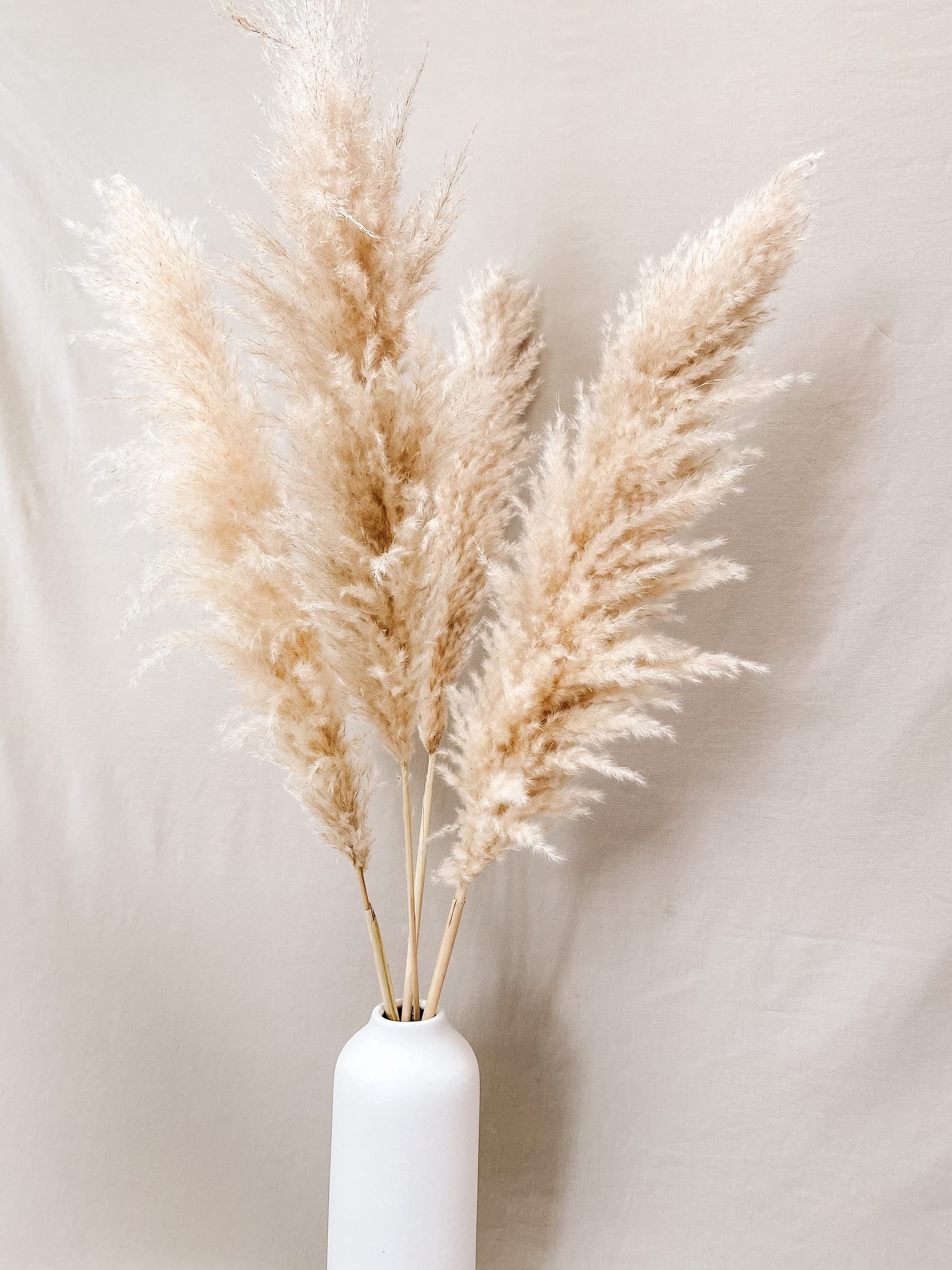 Vanchai Natural Dried Off White Pampas Grass 42?/3.5 Feet Tall Dried Flowers Bunch Fluffy Grass, Vase Filler for Home Decor,Office,Table Corner Decoration- White Set of 3 (3)-image-28