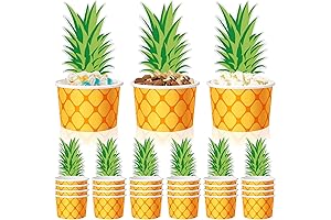 Suclain Disposable Tropical Fruit Cups