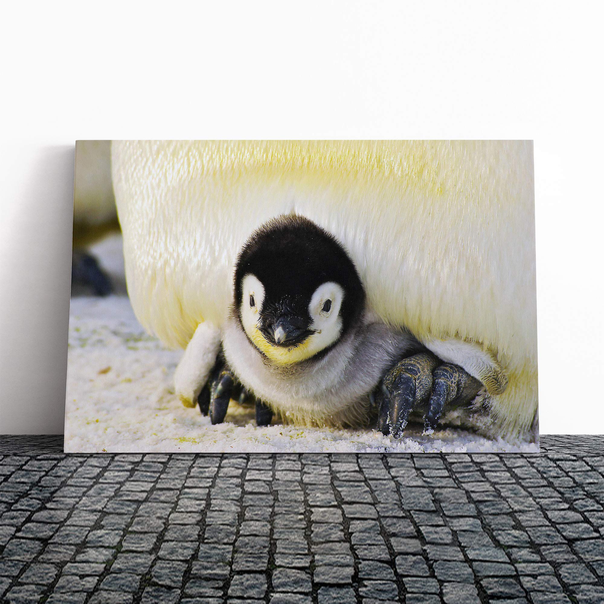 Baby Penguin Canvas Print | Gallery Wrapped 30mm Frame Wall Art | 24x16 inches | Ready to Hang | Modern Animals Picture | Living Room Bedroom Lounge Office