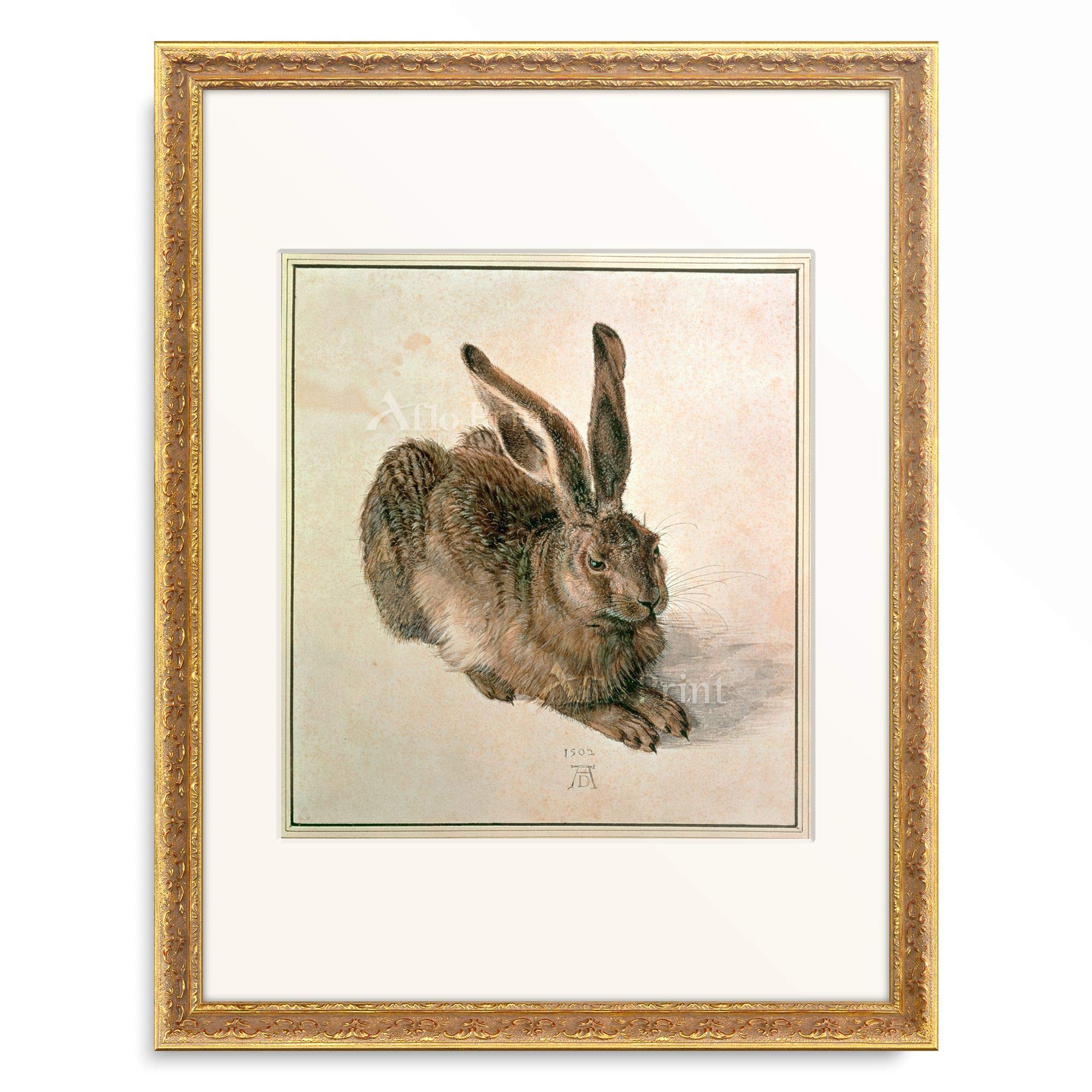Amazon.co.jp: アルブレヒト・デューラー Albrecht Dürer 「若い野