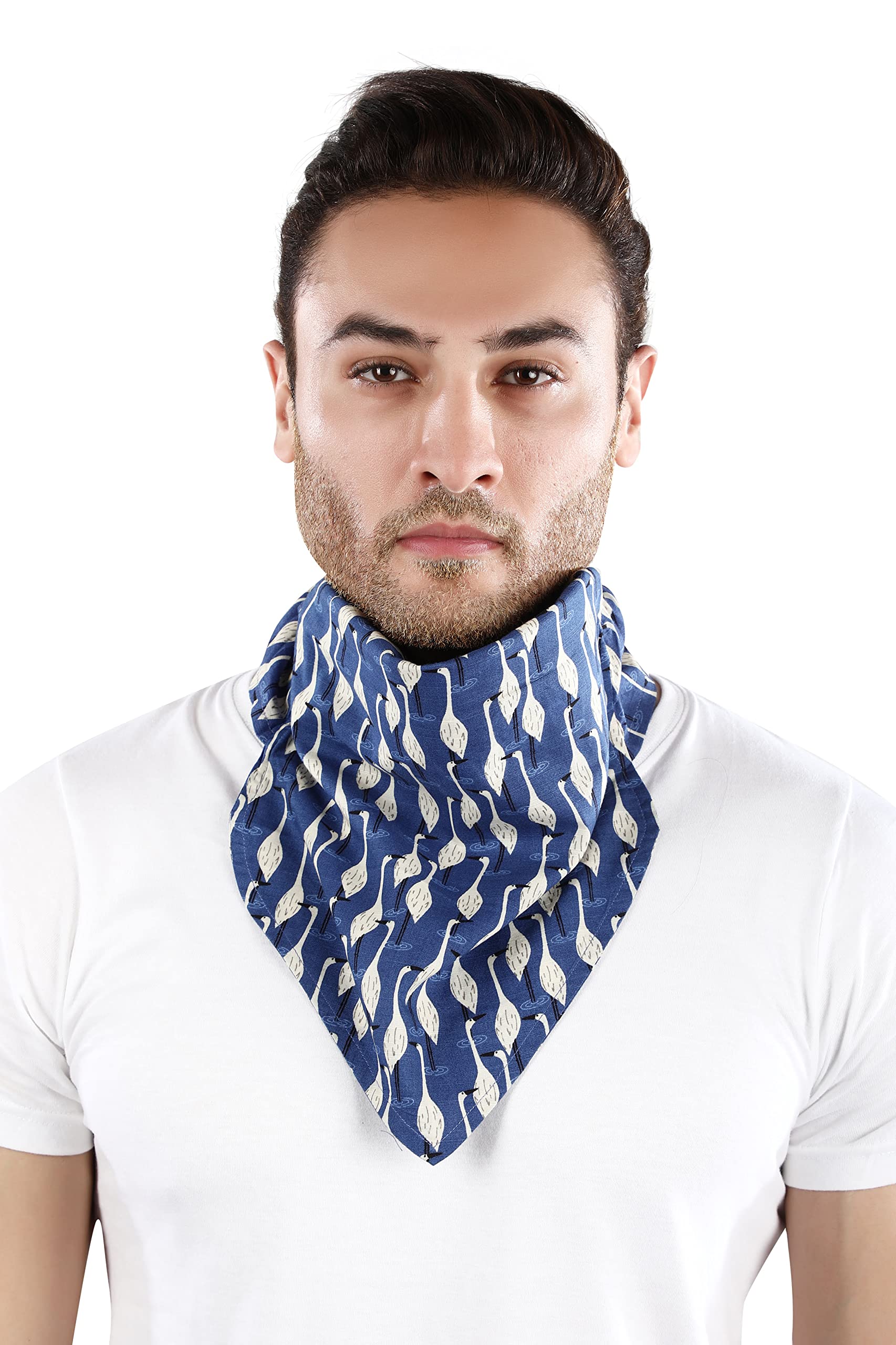 Dream of Glory Inc. Unisex Cotton Reusable Cloth Mask Scarves