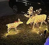 Review Image by Lianet Lianet