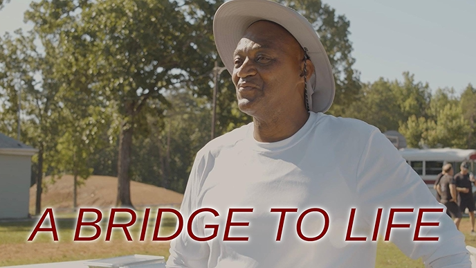 A Bridge to Life