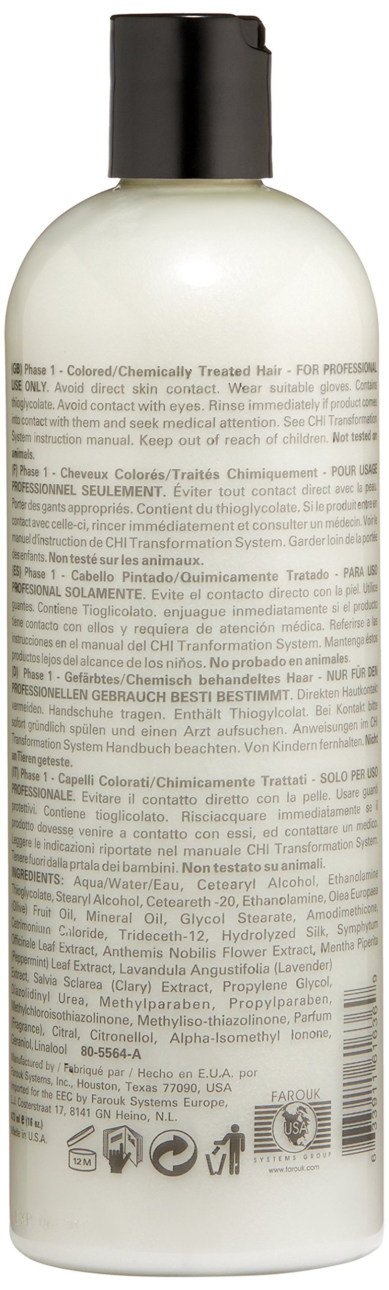 CHI Transformation System Phase 1 blau