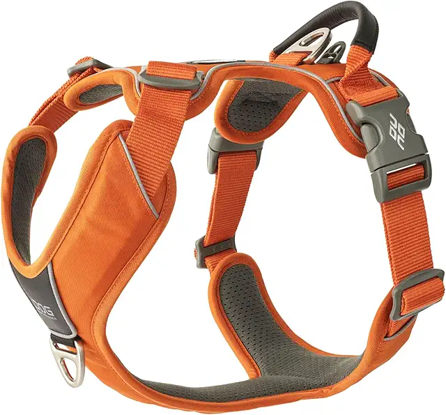 Arnés DOG Copenhagen Comfort Walk Pro 3.0 Naranja Sol Talla M - Ligero y Ergonómico