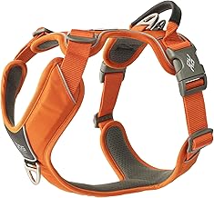 DOG Copenhagen Comfort Walk Pro 3.0 Harnais, Orange Sun, L