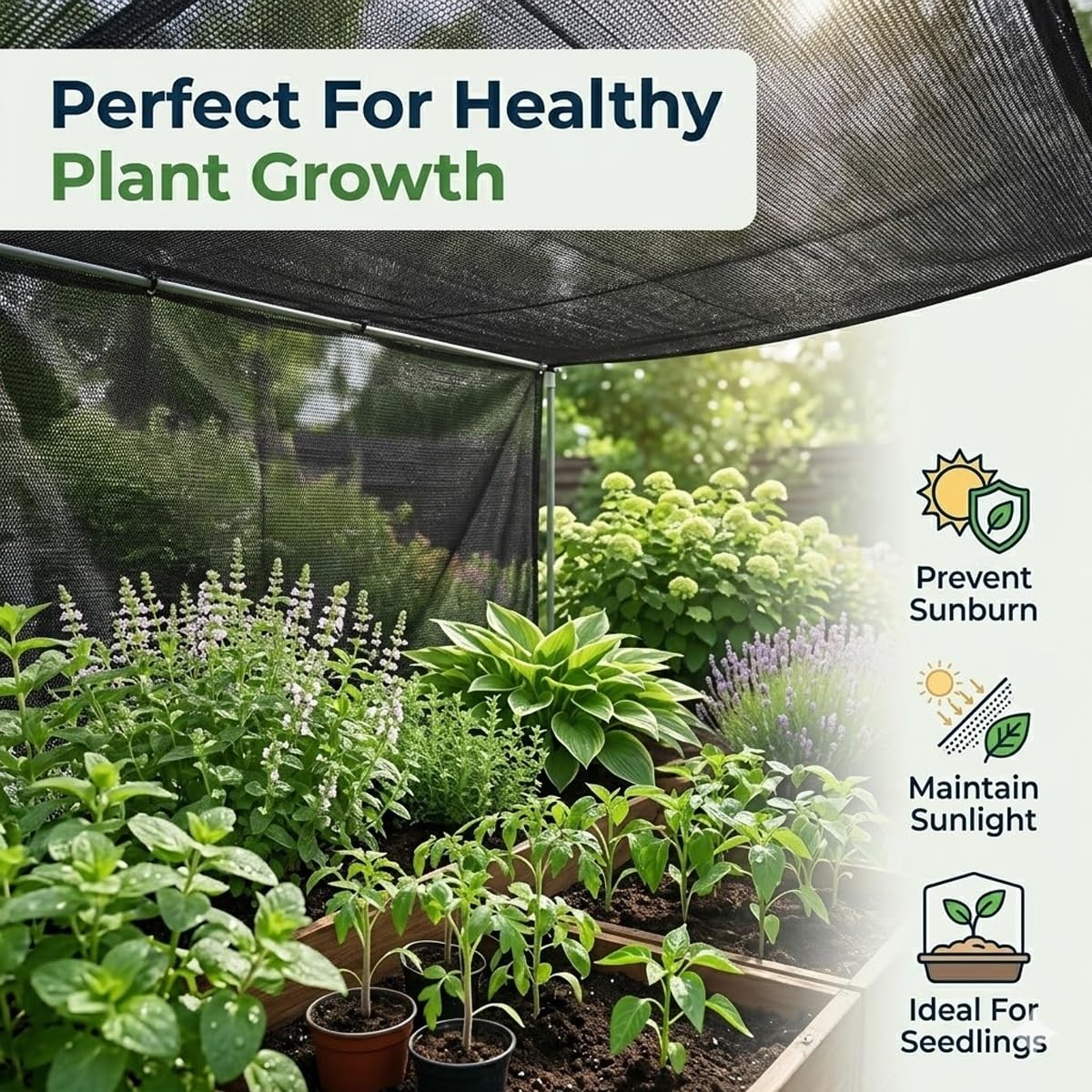 Red para exteriores resistente a los rayos UV con ojales, 2 x 6 m, cubierta de malla negra para invernadero, cochera y protección de plantas, ideal para uso en exteriores