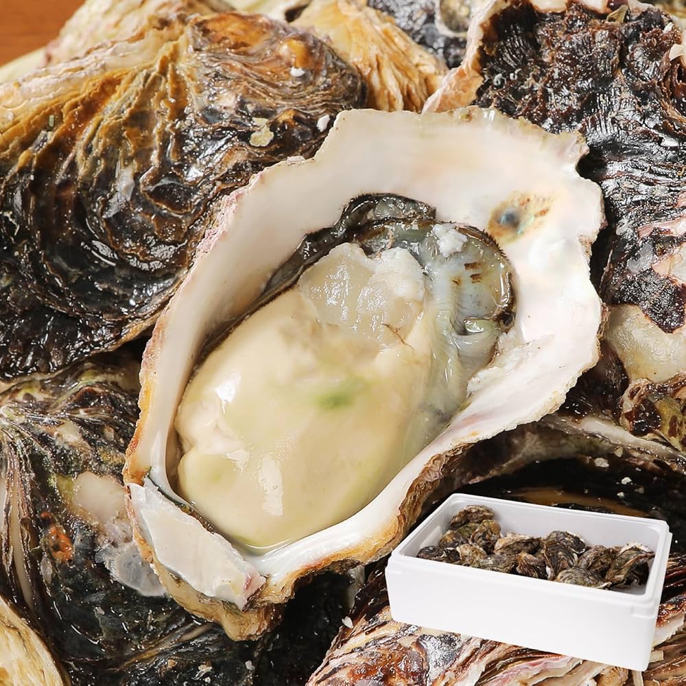 なのchan　真牡蠣10kg＋2kg増量　計12kg Amazon.co.jp: 【北海道 厚岸名産 生牡蠣 殻付き牡蠣 LLサイズ