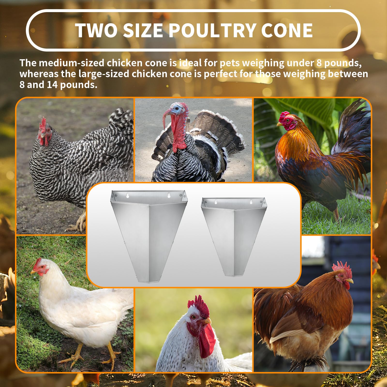 Cono de retención de pollo de acero galvanizado de gran tamaño para aves de corral, adecuado para capas grandes, asadores, asadores y pavos de hasta 14 libras, cono de matar con parte trasera