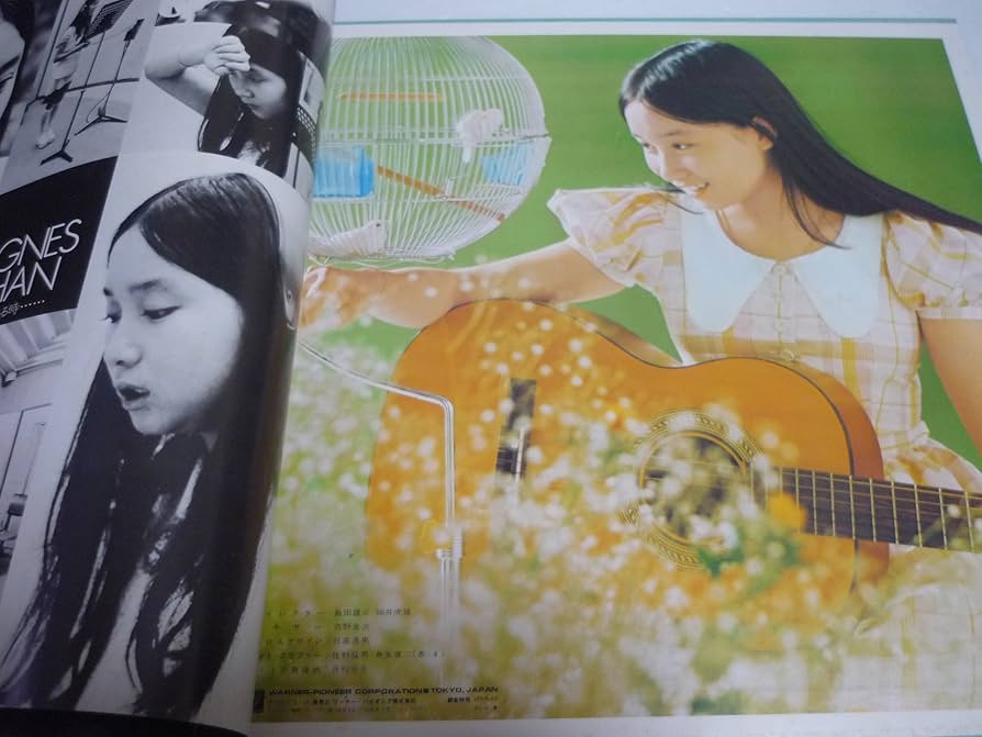 Amazon.co.jp: 草原の輝き アグネス・チャン 1973年 LP: ミュージック