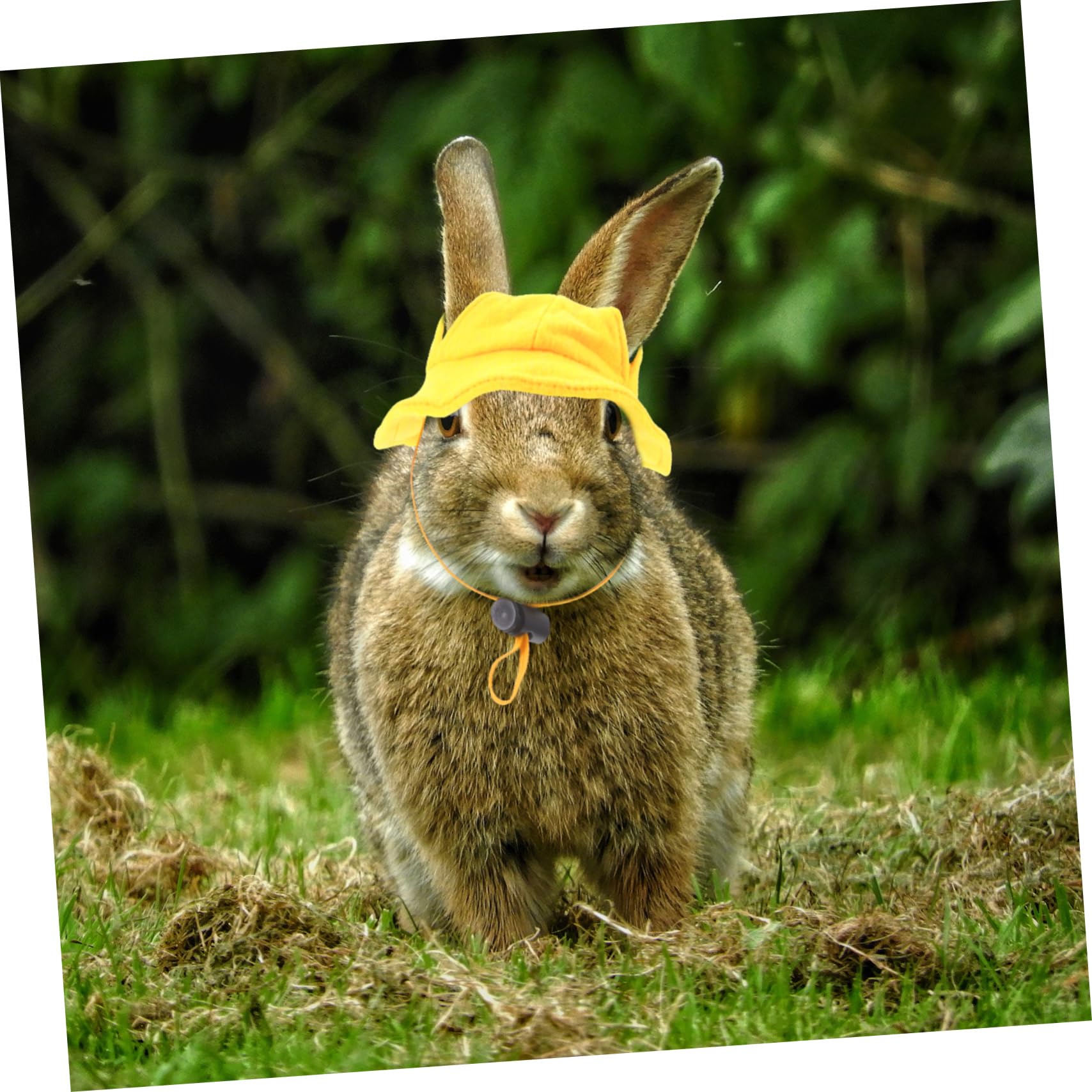 HEMOTON Mini Chapeau pour Lapin de Compagnie Jaune, Accessoire Léger en Tissu, Taille Unique, Adapté aux Fêtes et Séances Photo, pour Petits Animaux de Compagnie