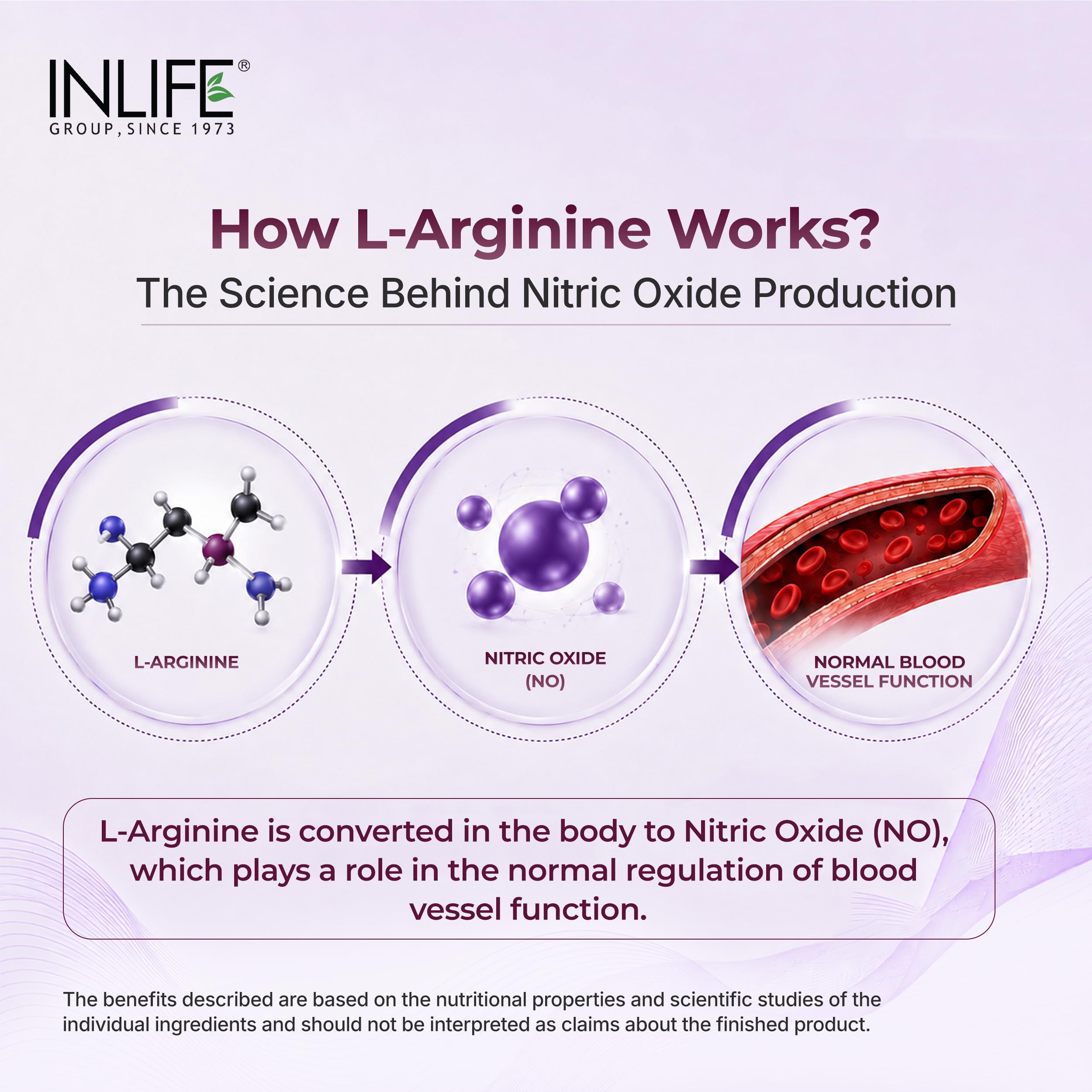 INLIFE L-Arginine Supplement 1000mg, Nitric Oxide Precursor, 60 Veg Caps 2