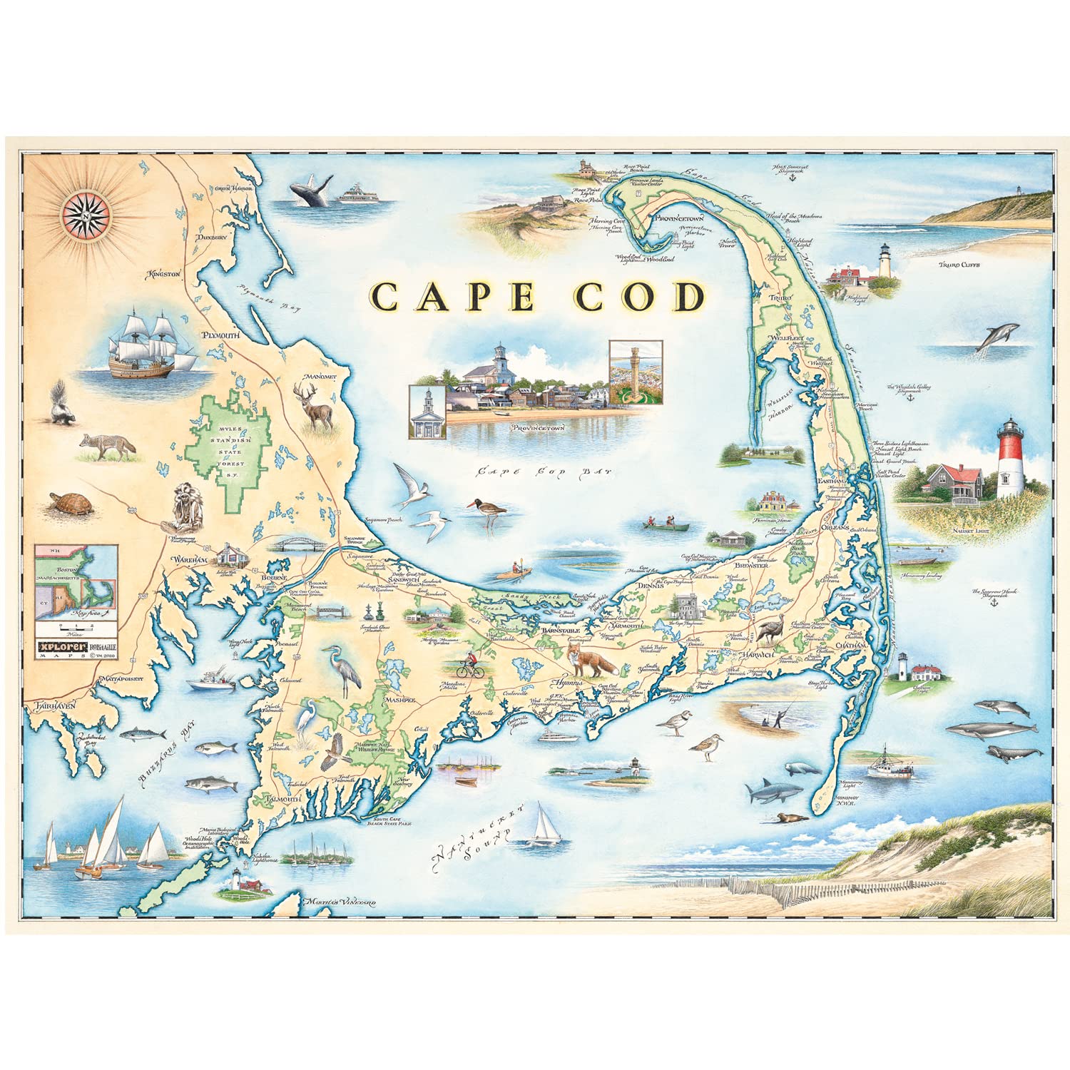 Xplorer Maps Cape Cod Poster - Hand Drawn Map of Cape Cod -
