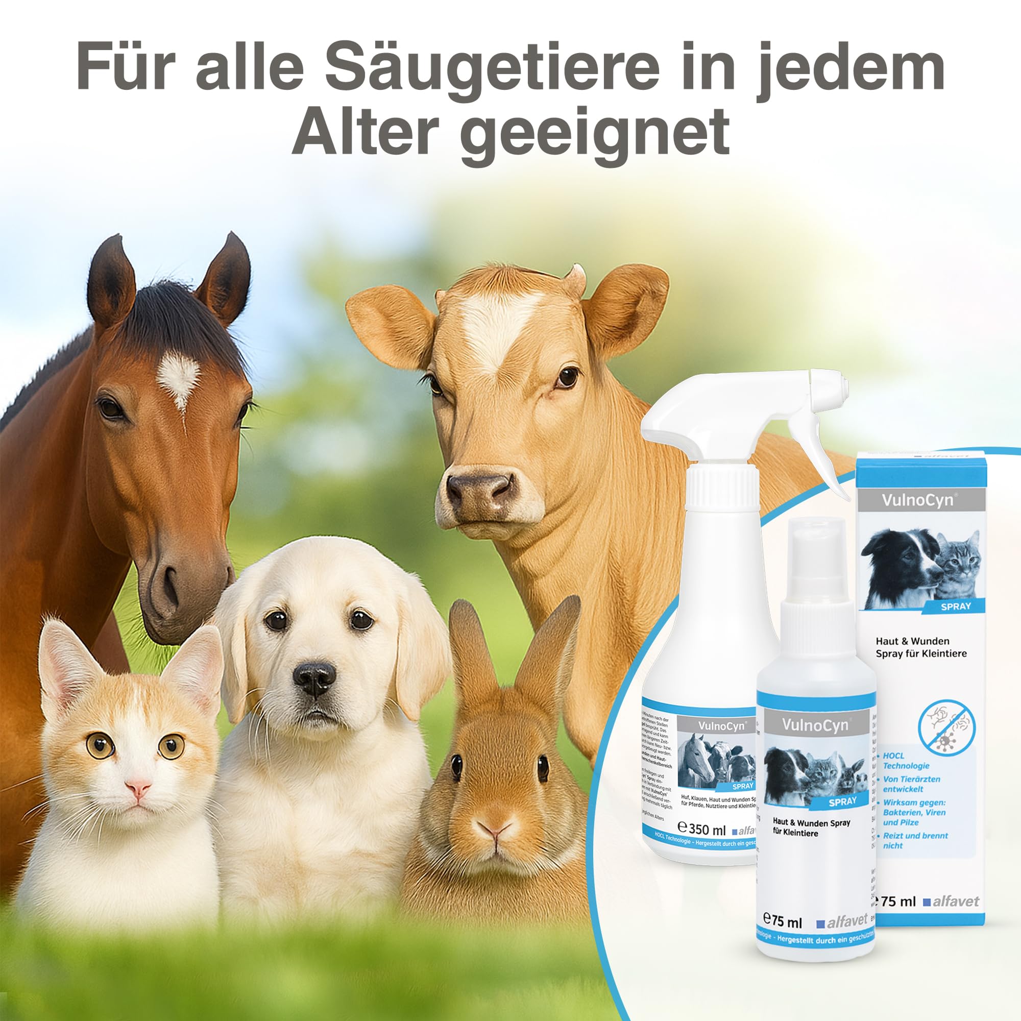 alfavet VulnoCyn Spray 75 ml – Haut- und Wundspray für Hunde, Katzen & Kleinsäuger – gegen Bakterien, Viren & Pilze – ohne Alkohol, hautfreundlich & pH-neutral zur antiseptischen Wundreinigung