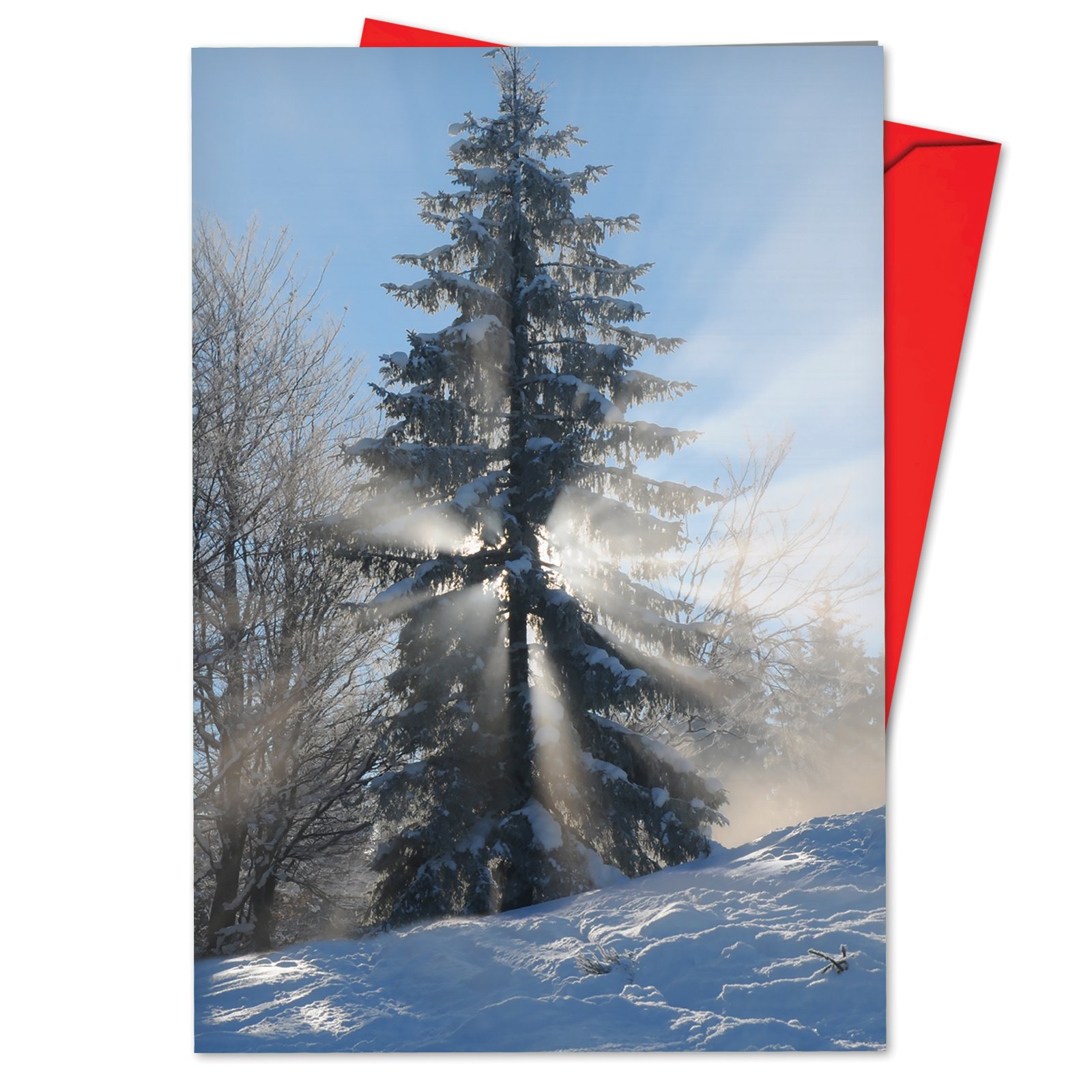 The Best Card Company12 Beautiful Christmas Cards with Envelopes (1 Design, 12 Cards) - Bulk Boxed Set of Holiday Greetings - Christmas Sunrise Tree B6655CXSG