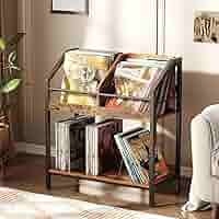 Amazon.com: CHOEZON 2-Tier Vinyl Record Storage Holder Rack