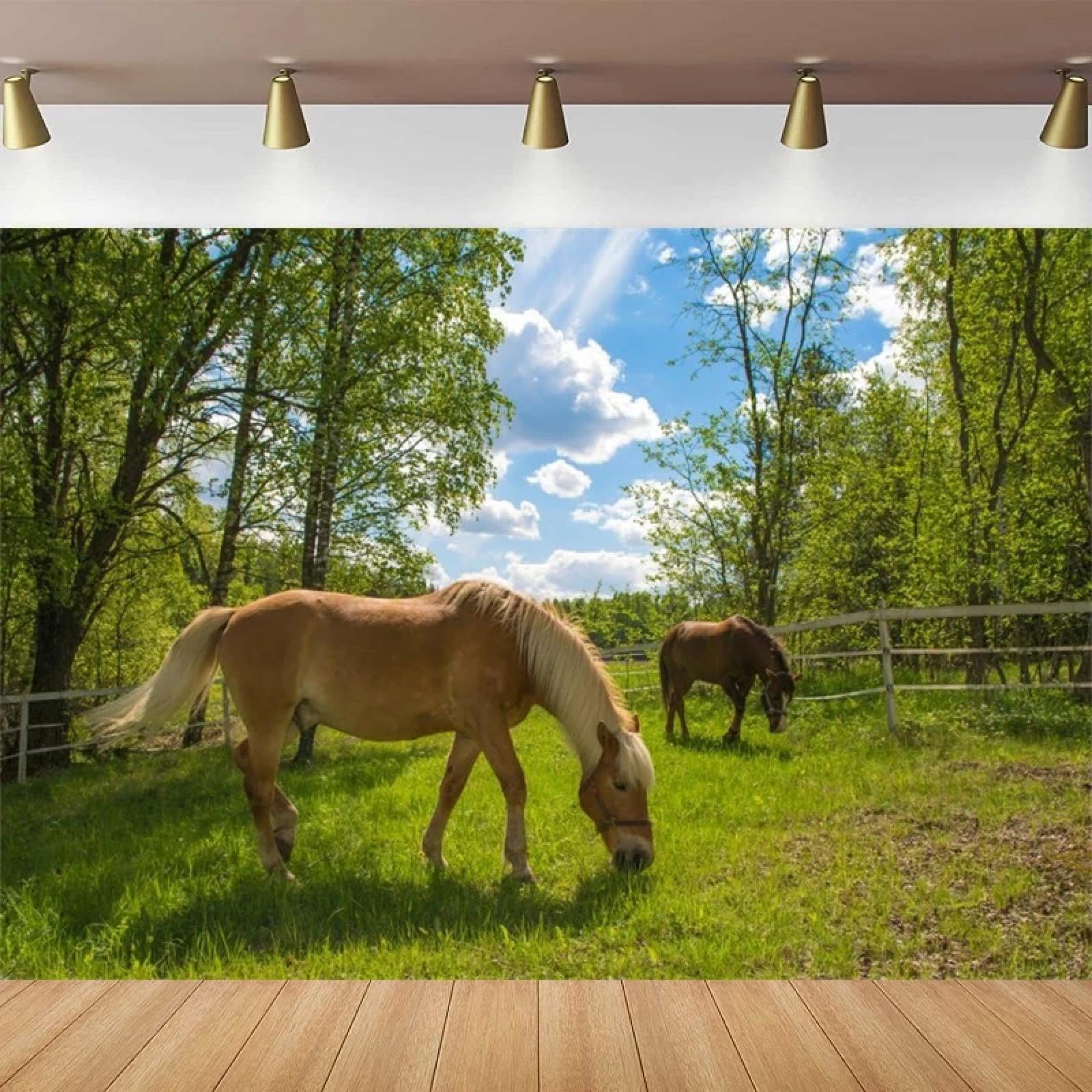 Konie w padoku fotografia tło gospodarstwo wiosna pastwisko sceneria łąka lato wieś płot niebieskie niebo rustykalne tło
