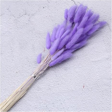 Amazon 造花 3 0ピースリアルリードスモールパンパスグラスウェディングバンチプラグミテの装飾用ゆっくり植物の自然な家の装飾乾燥花 かわいい Color 112 Size 30pcs 造花 オンライン通販