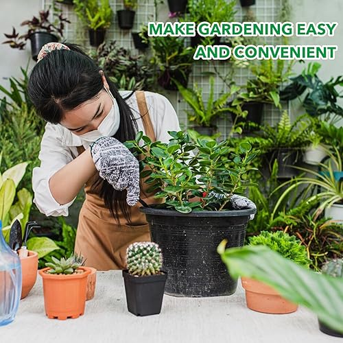 Miniatura 7 de 3 piezas de herramientas de jardín, mini herramientas de jardinería, kit de herramientas de mano de jardinería para plantas suculentas, plantas