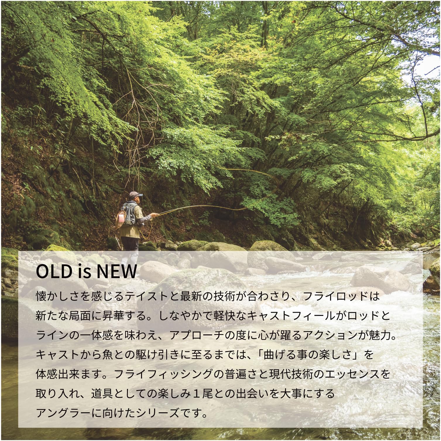 Amazon.co.jp: Tenryu Fates Benett FB744-#3/4 : Sports & Outdoors