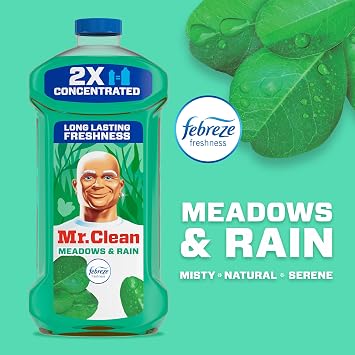 Mr. Clean All Purpose Cleaner, Floor Cleaner for Mopping Home, Bathroom, Kitchen, Cleaning Liquid for Mop & Bucket, Cleaning Supplies, Multi-Surface Dilutable, Meadows & Rain, 41oz
