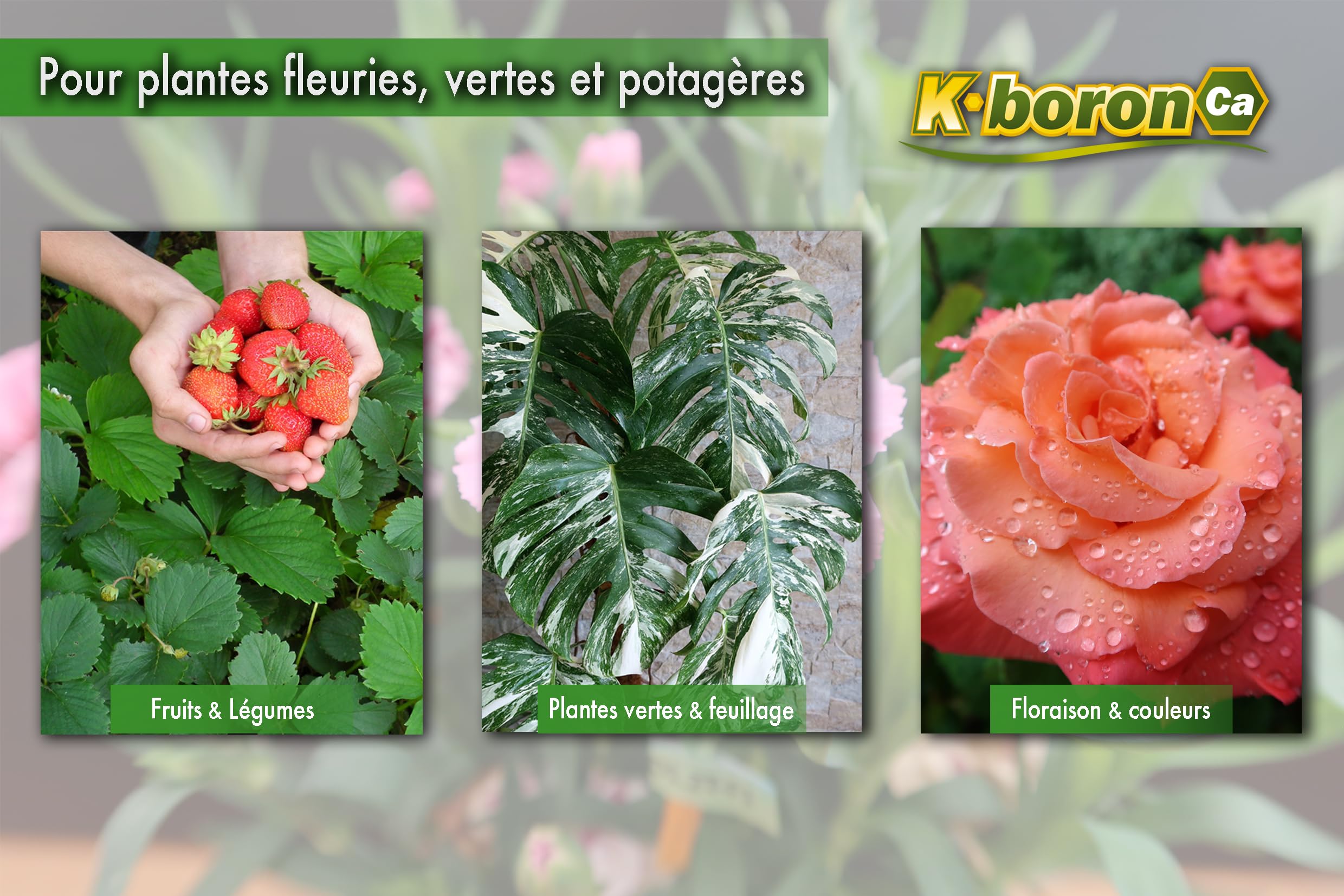 Spray Foliaire Liquide 750ml- Engrais Prêt à l'Emploi-Favorise Floraison & Croissance - Plantes Vertes, Jardin et Potager