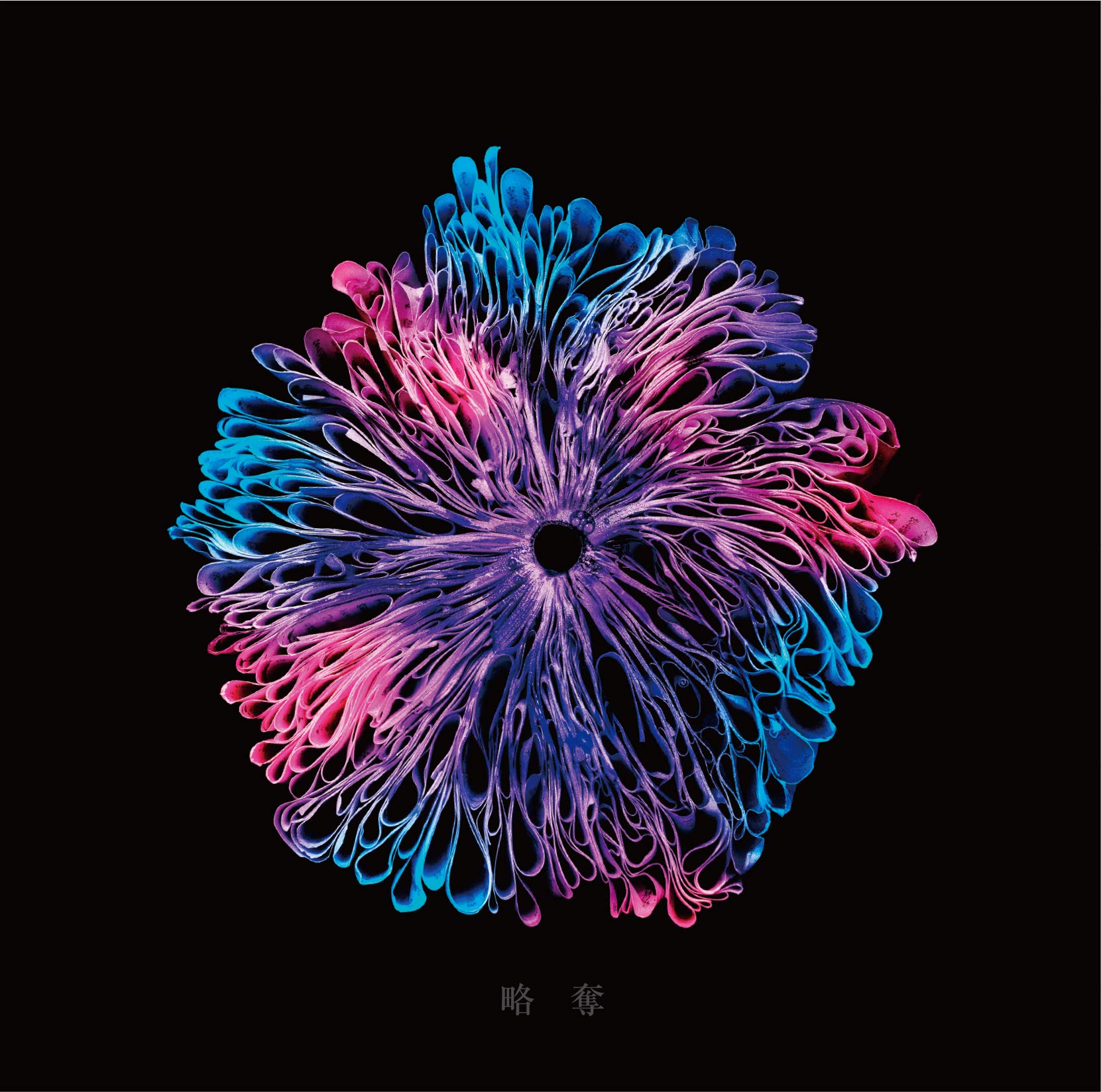Amazon.co.jp: 略奪(通常盤): Music
