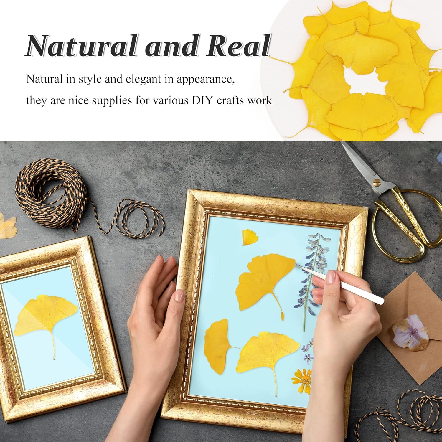 42PCS Dried Ginkgo Leaves for Resin, Yellow Natural Dry Pressed Ginkgo Leaf for Epoxy Resin Mold Jewelry Card Making Scrapbooking DIY Art Crafts Table Wedding Party Meeting Room Decor