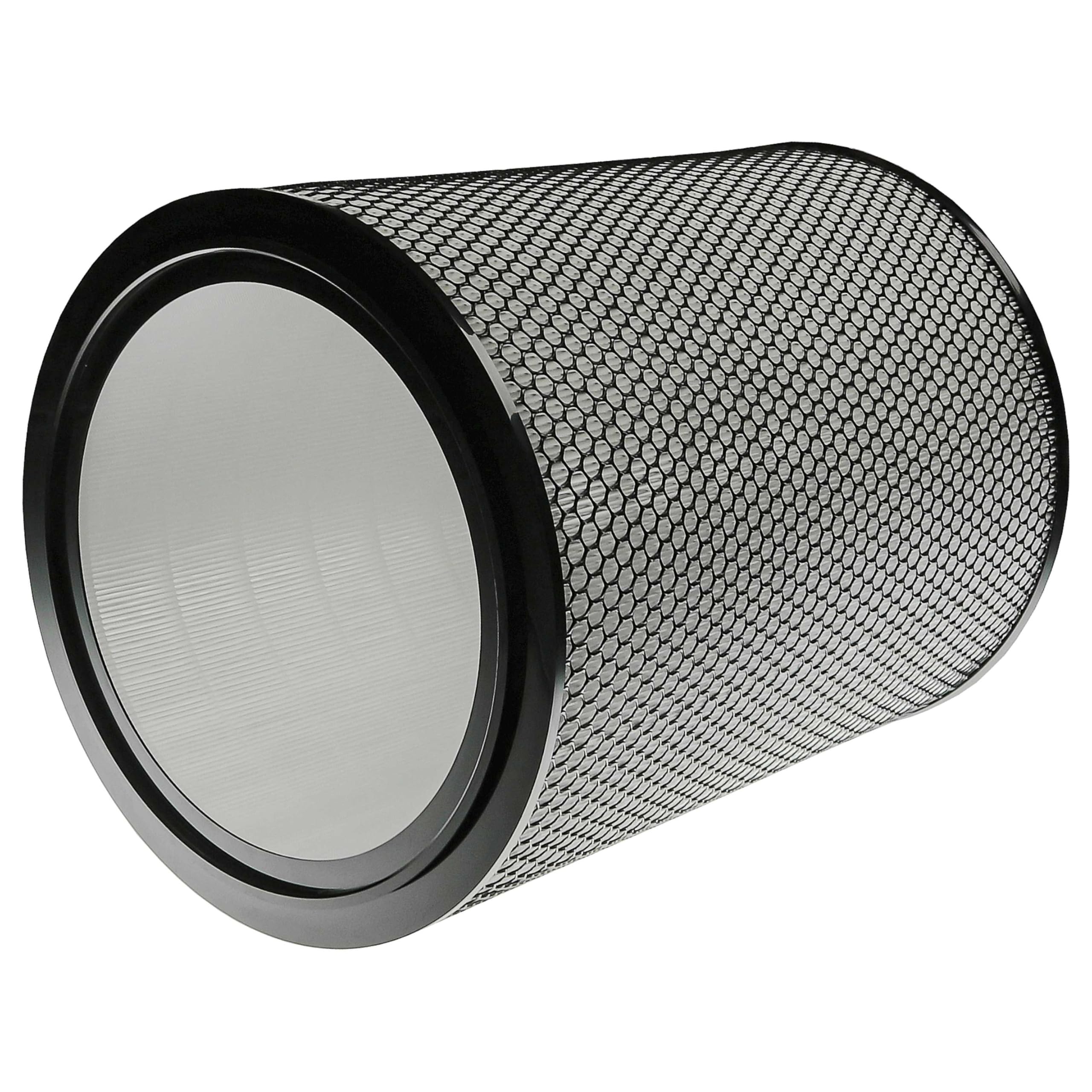 vhbw Filtro H13 compatible con Dyson HEPA Big+Quiet Formaldehyde BP06