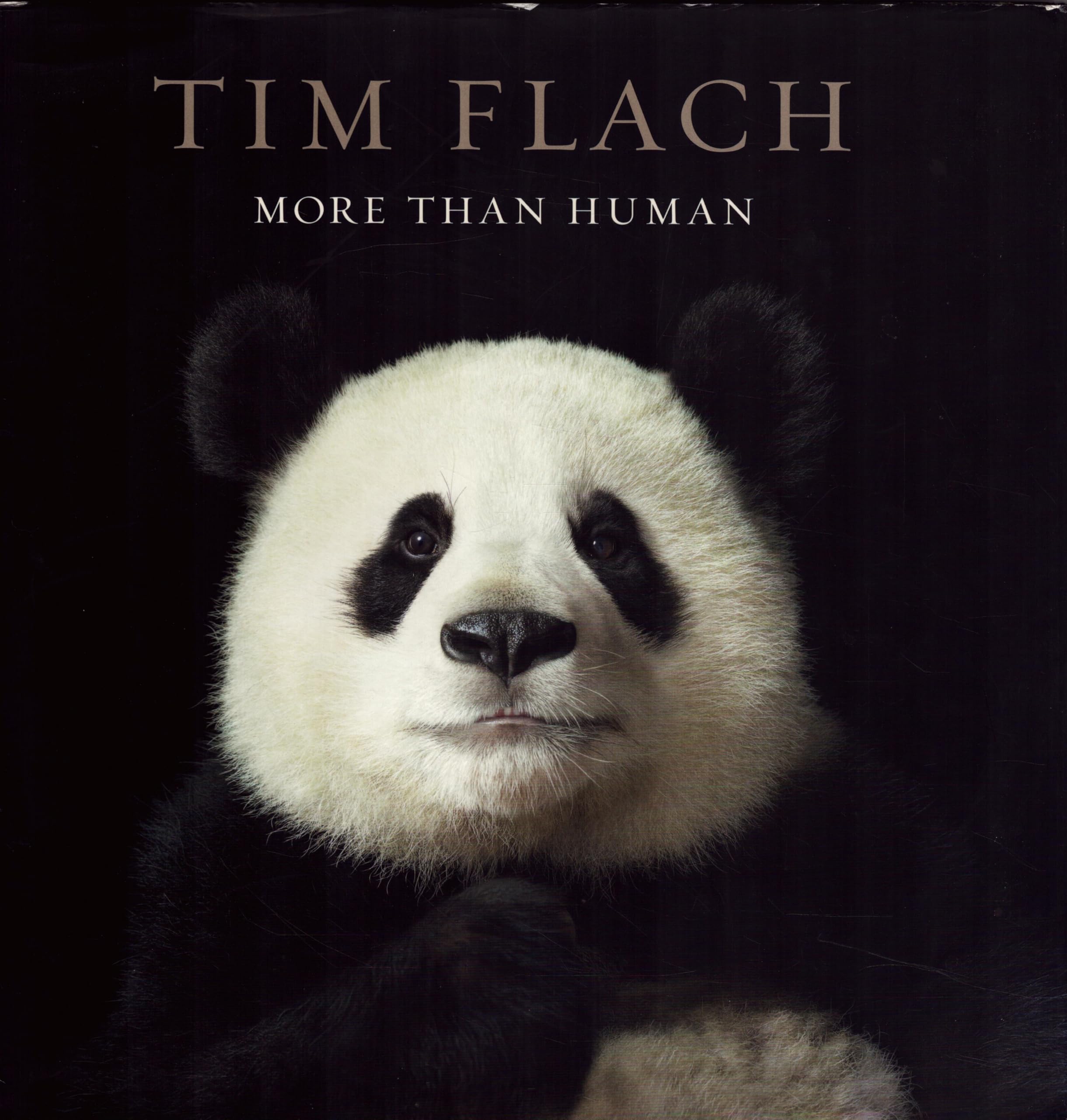 More Than Human