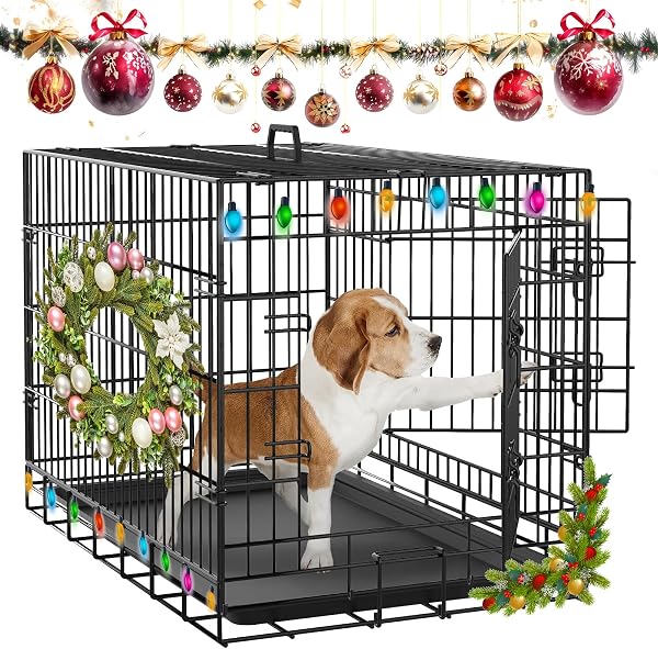 Advwin 24 inch Dog Cage with Double Doors