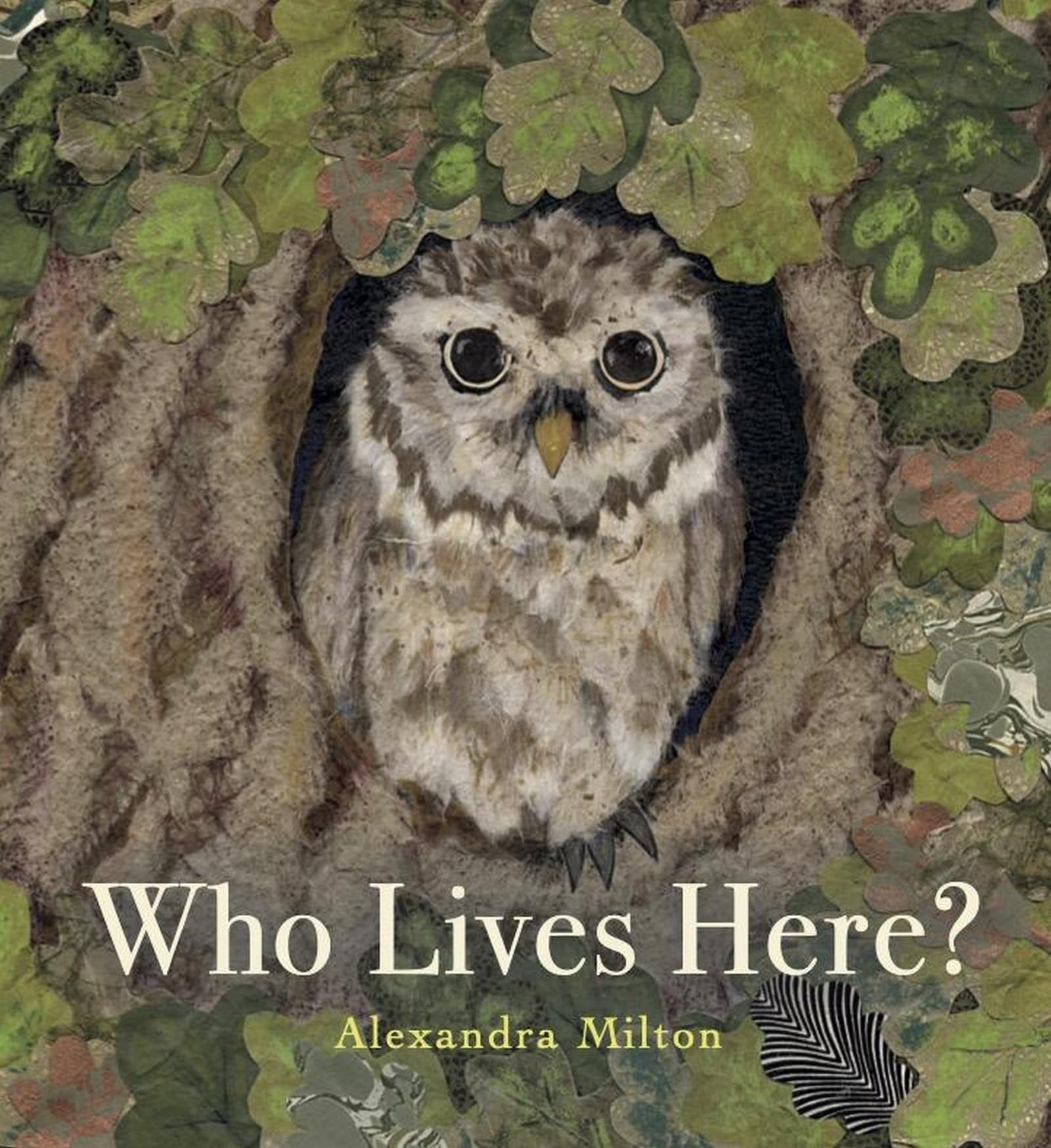 Who Lives Here? by Alexandra Milton (Paperback Book)
