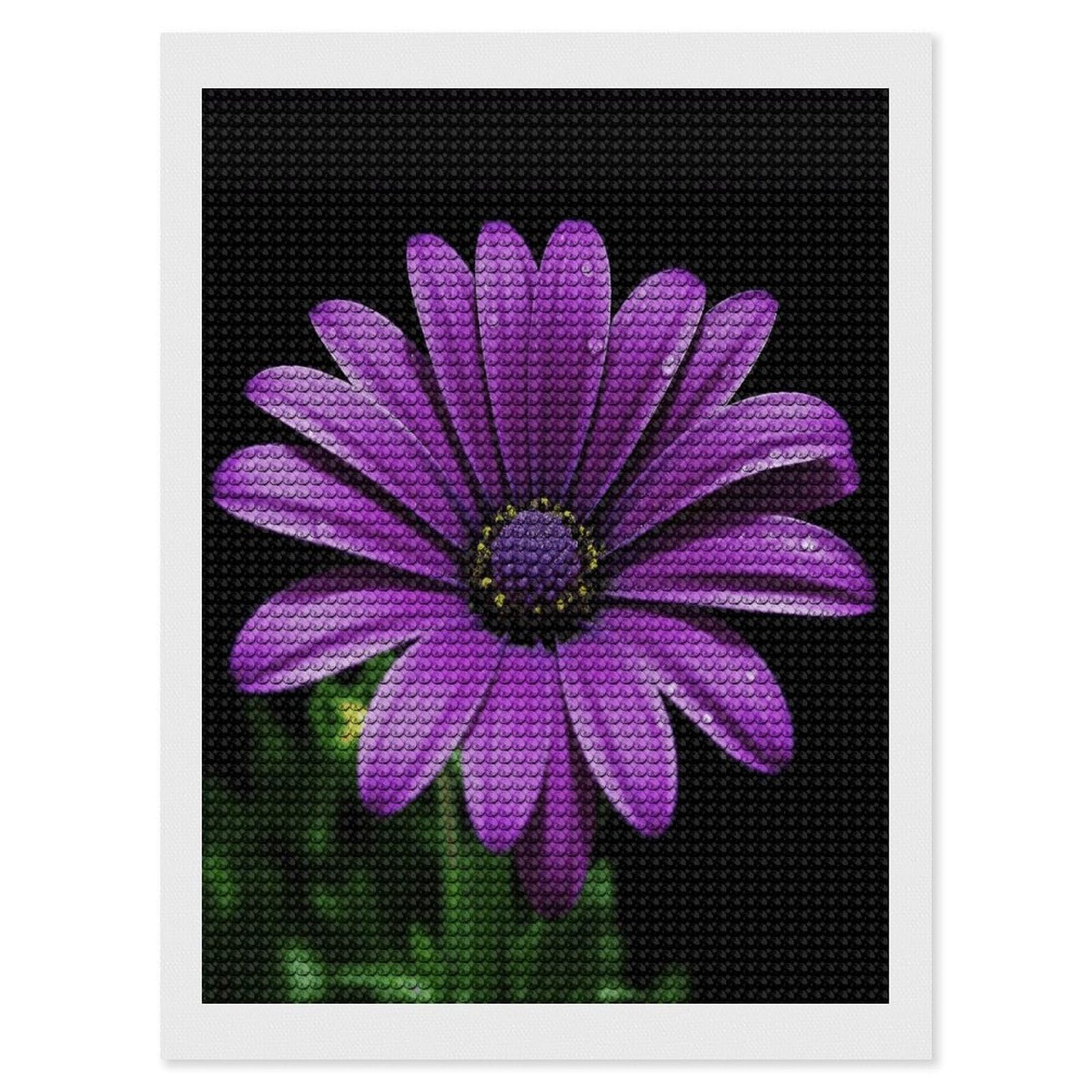 VstaDank Purple Daisy Diamond Painting Kits Exquisite DIY Full Round Drill Diamond Dots Painting for Adults Beginner Diamond Photo Paint with Diamond Picture Art Wall Decor 12"x16"