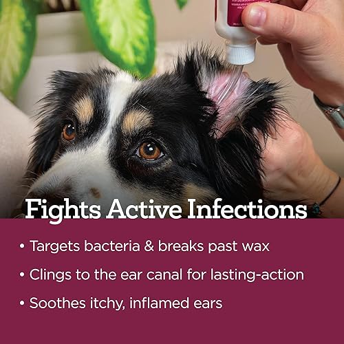 Miniatura 6 de Vetality Gotas óticas medicadas para tratamiento de infección de oído de perro, 2 onzas líquidas