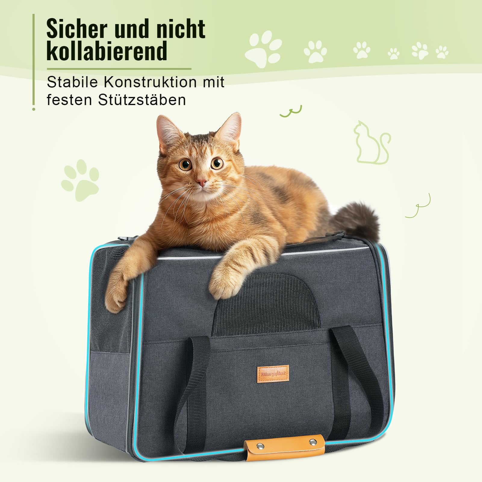 Morpilot Katzentransportbox für große Katzen und Welpen Katzenbox Hundetasche mit Sicherheit Reißverschlüsse Faltbare Schale, Transportbox Katze Hunde für Der Gang zum Tierarzt