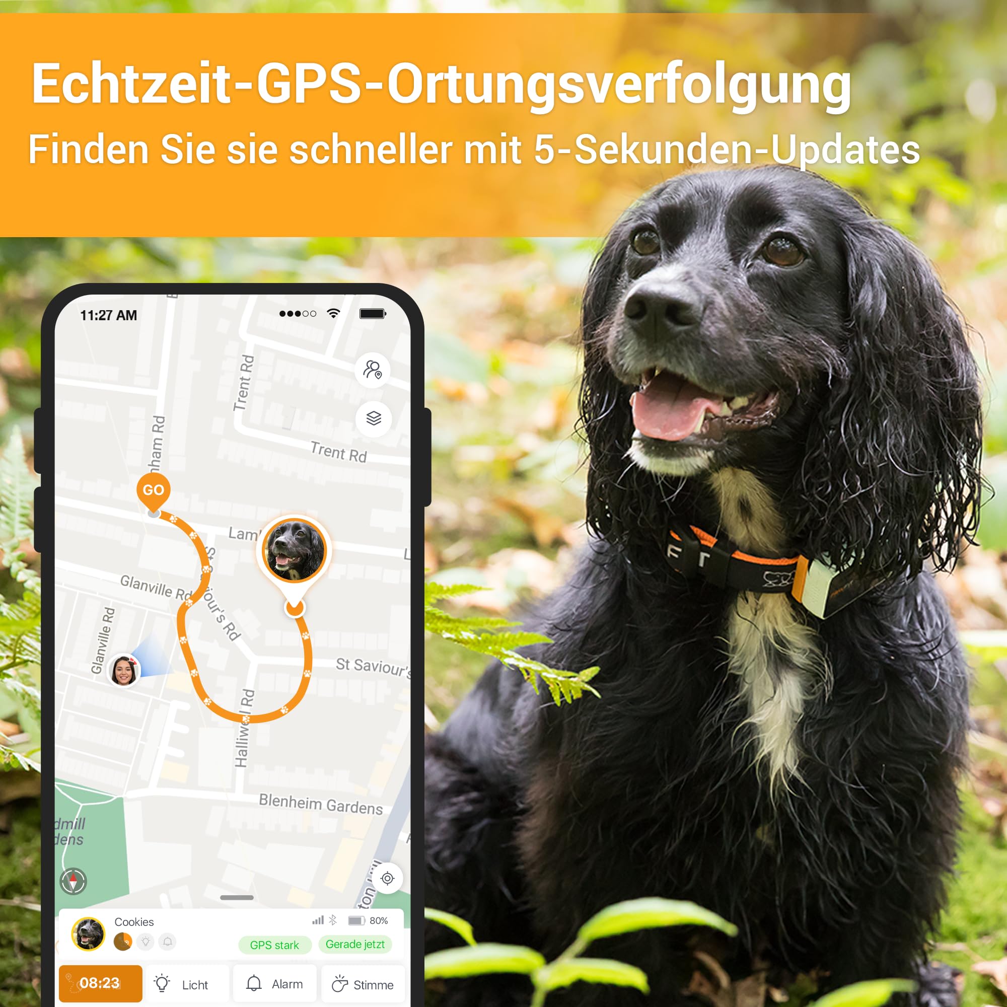 Pawfits 3-GPS-Tracker für Hunde und Katzen| Live-Satellitenortung Weltweit| Weglaufalarm | intelligentes Warnsystem | Fernsprachbefehle | Wasserdicht | Aktivitätstracking | Für Alle Halsbänder