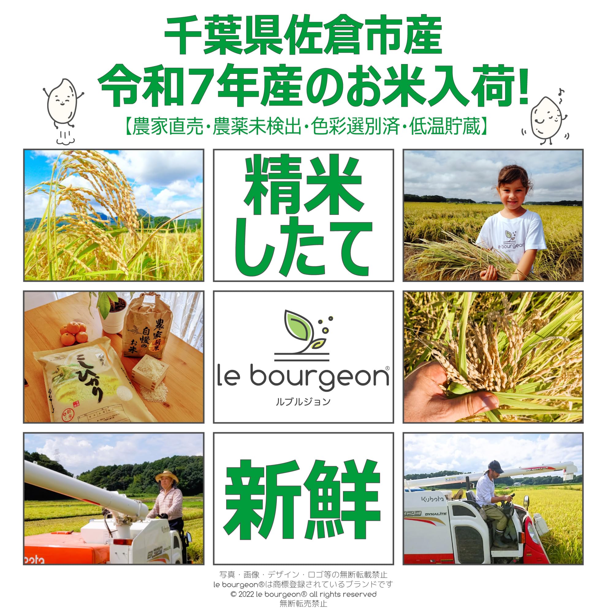 Amazon.co.jp: 精米・令和7年産 5kg【農家直売・農薬未検出・色彩選別