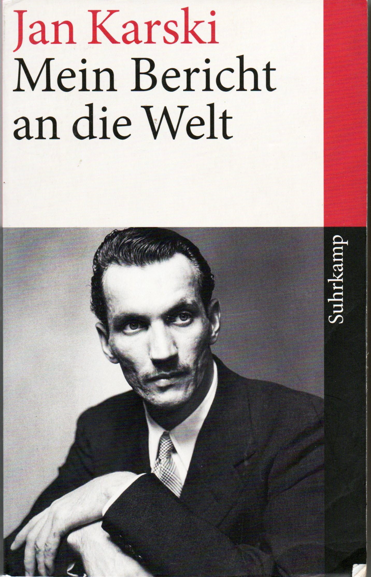 Mein Bericht an die Welt: Geschichte eines Staates im Untergrund (suhrkamp taschenbuch)