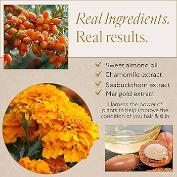 Amazon.com: WEN by Chaz Dean Wen Sweet Almond Mint