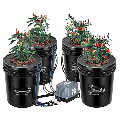 Mastering the Raft Hydroponic System Grow Your Own Oasis Hydro Green