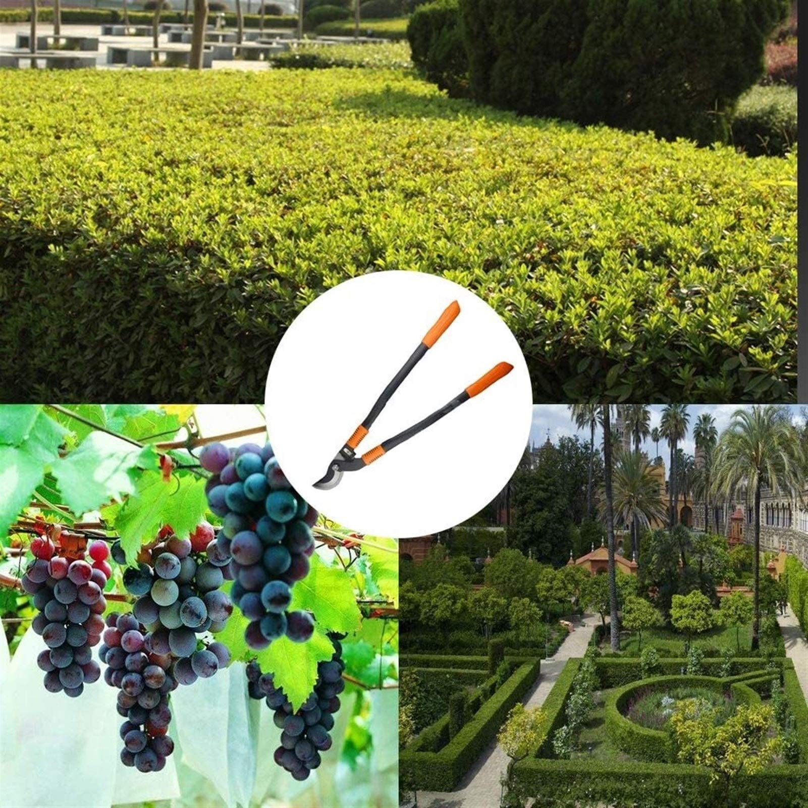 Schere, Gartenschere, handgehaltene, ausziehbare Gartenschere, leichte, dicke Astschere, Pflanzenbeschneidungsschere for Obst und Gemüse, gebogene SK-5-Stahlklinge, ergonomische Gartenschere mit ABS-G