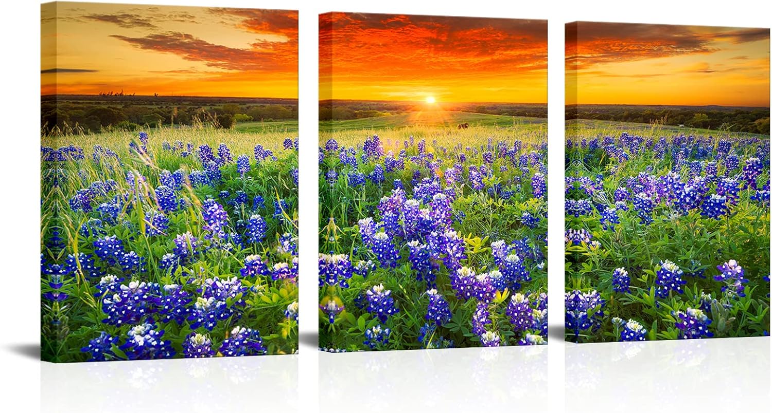 Nachic Wall 3 Piece Sunset Picture Wall Art Beautiful Texas Bluebonnets Field Photo Painting on Canvas Modern Natural Landscape Poster Artwork for Home Bedroom Decor Ready to Hang (Small)