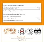 PlantVital Organic Ashwagandha Supplément avec poivre noir - Fabriqué au Canada - 2,600mg par jour - Capsules Ashwagandha pour soulager le stress, augmenter l'énergie, aide au sommeil & Support mémoire - 120 Nombre
